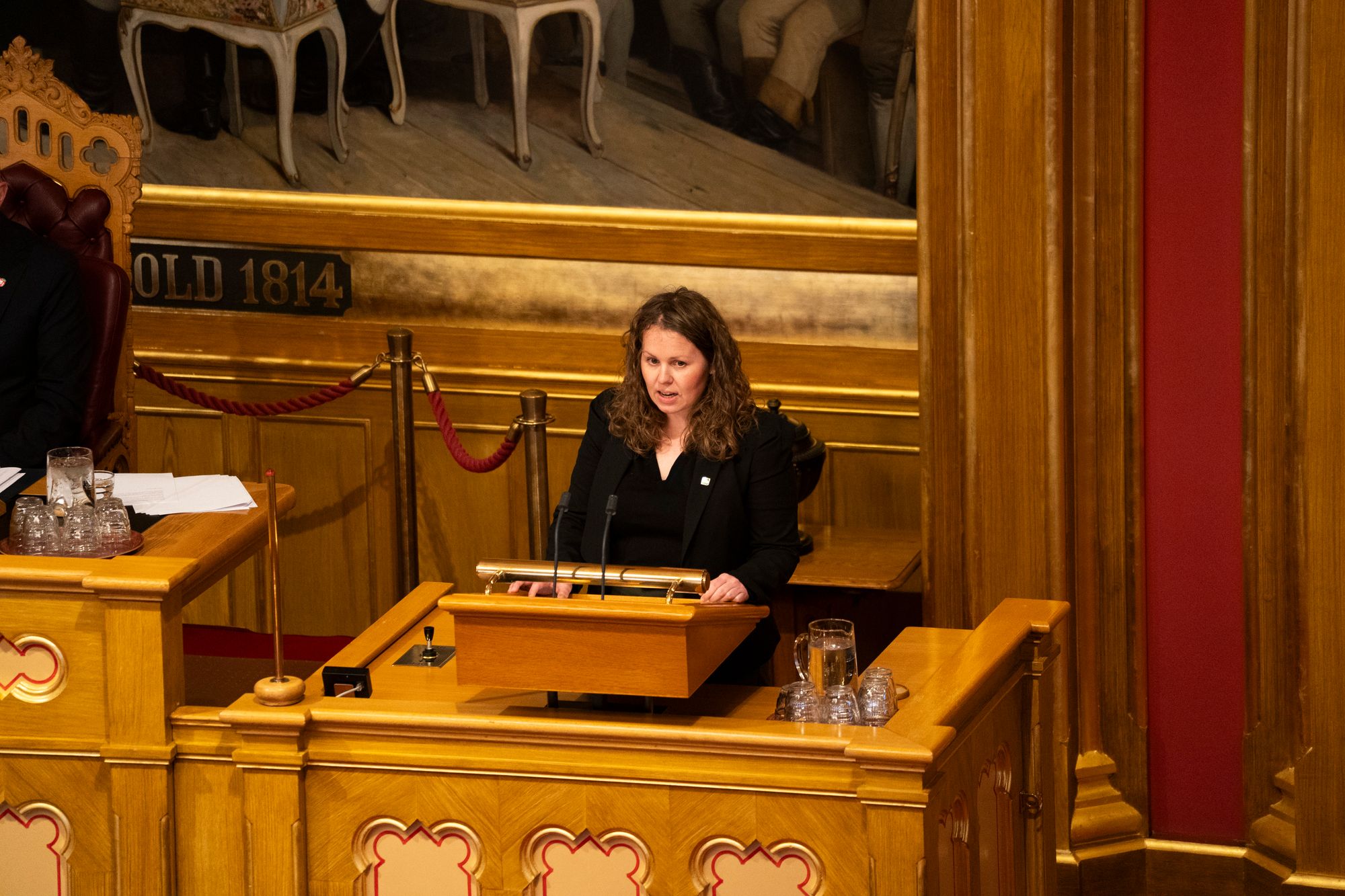 MDG: Vil tvinge næringsministeren til å overlevere Telenor-dialog om Myanmar