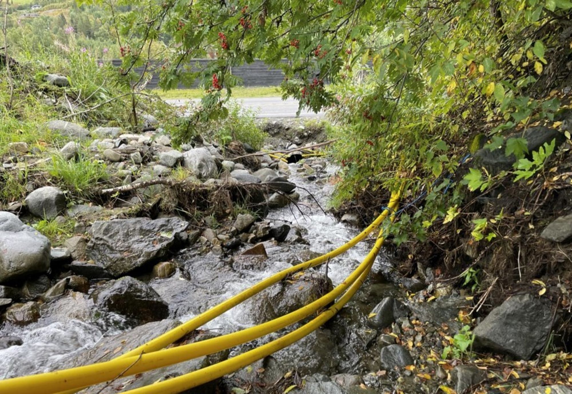 [Ekstra] Vil ha standard for beskyttelse av fiberkabler: – Viktig for beredskapen